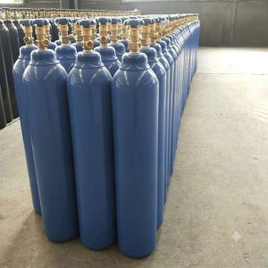 Bình Khí co2 10 lít giá tốt