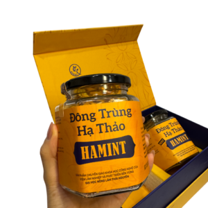 Alternative view of Đông Trùng Hạ Thảo Hamint