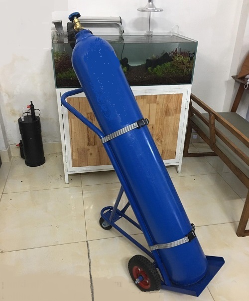 Bình gió lớn chính hãng
